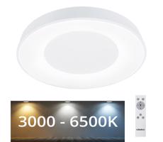 Rabalux Rabalux - LED Stmívatelné stropní svítidlo LED/38W/230V bílá + DO 3000-6500K