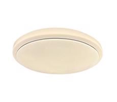 Rabalux Rabalux - LED Stropní svítidlo LED/18W/230V