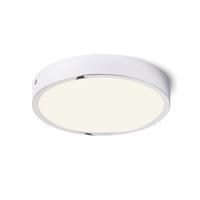 RENDL HUE R 22 stropní chrom 230V LED 24W 3000K R12802