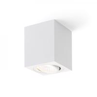 RENDL MAYO SQ stropní výklopná bílá 230V/700mA LED 9W 36° 2700K R10326