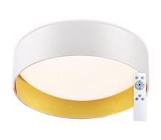 TOP LIGHT Top Light - LED Stmívatelné stropní svítidlo LED/24W/230V +dálkové ovládání bílá