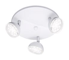 Trio Trio - LED Bodové svítidlo BOLOU 3xLED/3,8W/230V