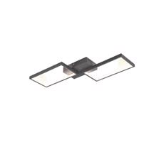 Trio Trio - LED Stmívatelný přisazený lustr CAFU 2xLED/7W/230V