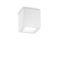 Venkovní stropní přisazené svítidlo Ideal Lux TECHO PL1 BIG BIANCO 251523 GU10 1x20W IP54 15cm bílé Studená bílá