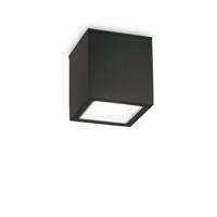 Venkovní stropní přisazené svítidlo Ideal Lux TECHO PL1 BIG NERO 251530 GU10 1x20W IP54 15cm černé Studená bílá