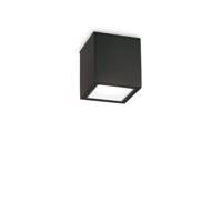 Venkovní stropní přisazené svítidlo Ideal Lux TECHO PL1 SMALL NERO 251578 GU10 1x20W IP54 9cm černé Studená bílá