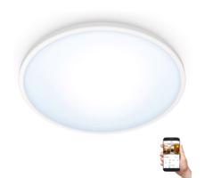 WiZ WiZ - LED Stmívatelné stropní svítidlo SUPERSLIM LED/14W/230V 2700-6500K Wi-Fi