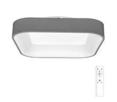 WMKL01S-40W/LED-SED - LED Stmívatelné svítidlo NEST LED/40W/230V