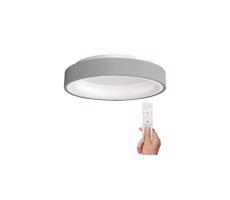 WO768-G - LED Stmívatelné stropní svítidlo TREVISO LED/48W/230V + DO