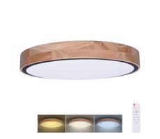 WO8005 - LED Stm. svítidlo IRON OAK LED/48W/230V 3000-6500K pr. 40 cm+DO